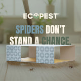 Spider Glue Traps – 12 Pack | Sticky Indoor Pest Control Trap for Spiders