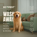BugOut! Laundry Additive – Natural Detergent Booster for Bed Bug, Mite, Flea, Tick & Carpet Beetle Treatment & Prevention
