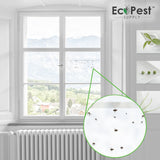 Sticky Fly Trap - 12 Pack